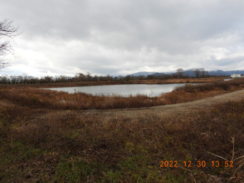 DSCN1977.JPG