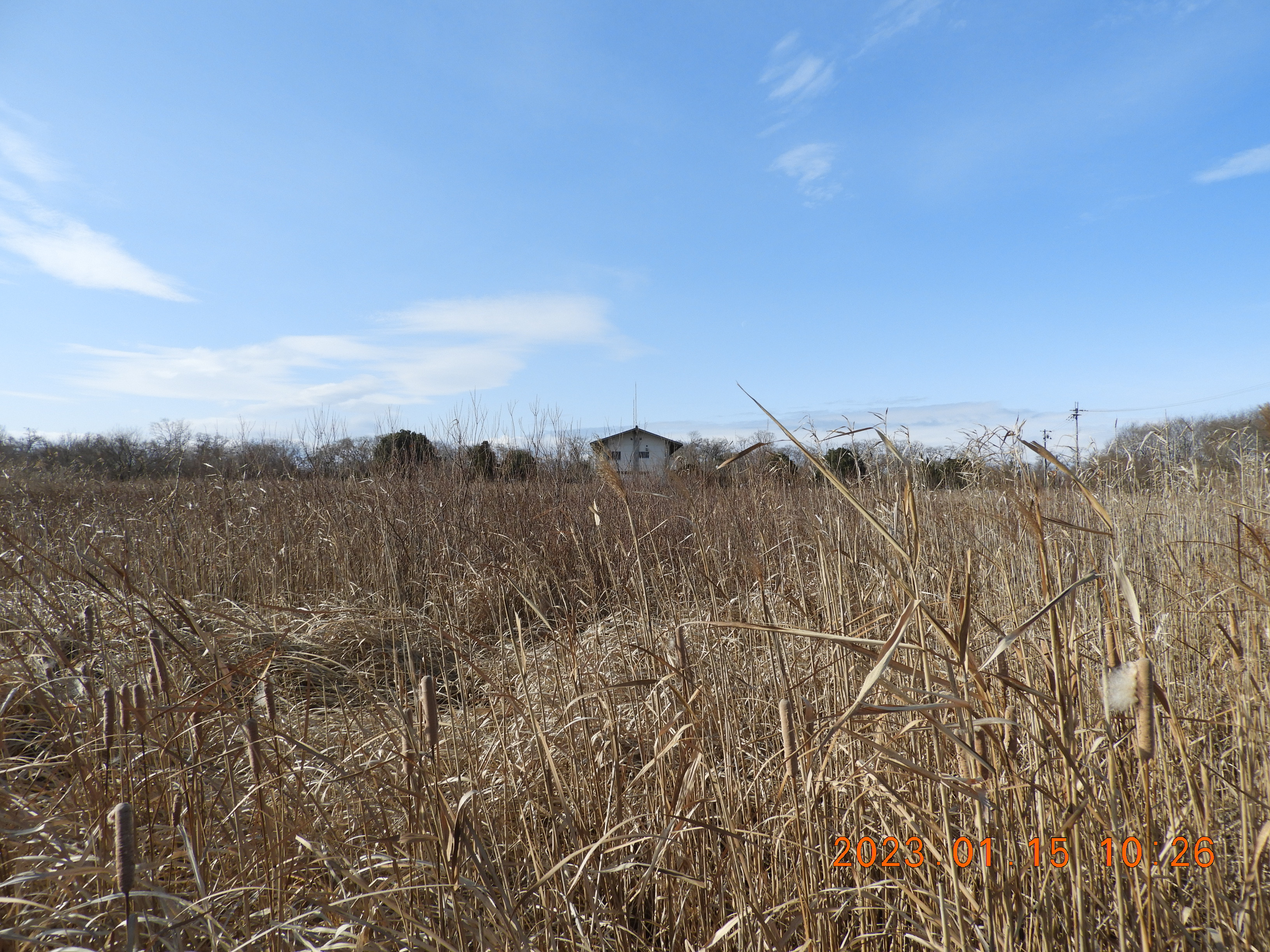 DSCN1699.JPG
