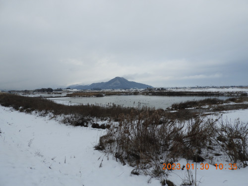 DSCN2081.JPG