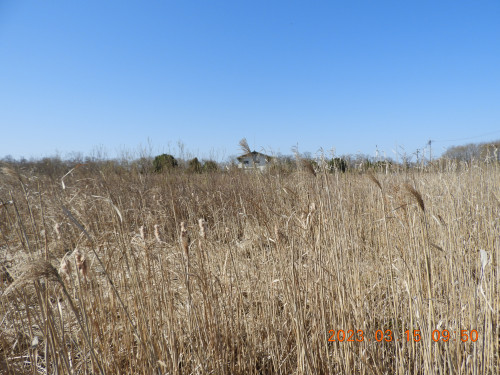 DSCN2359.JPG