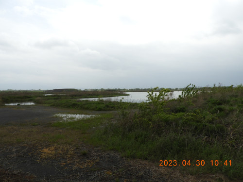 DSCN3731.JPG