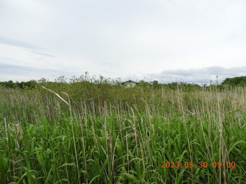 DSCN5010.JPG