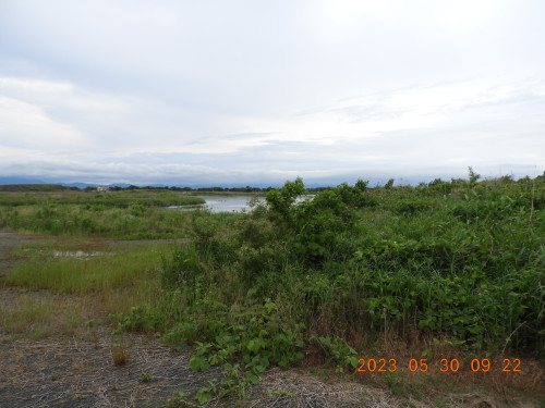 DSCN5015.JPG