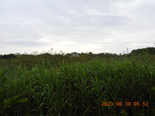 DSCN5028.JPG