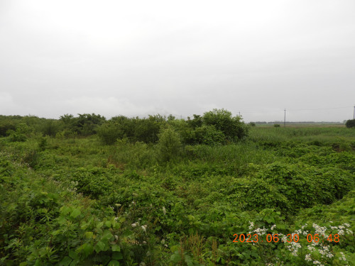 DSCN5049.JPG