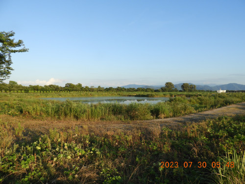 DSCN5056.JPG