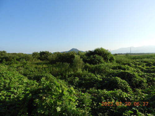 DSCN5063.JPG