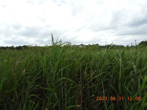 DSCN5508.JPG