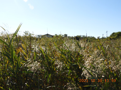 DSCN6260.JPG
