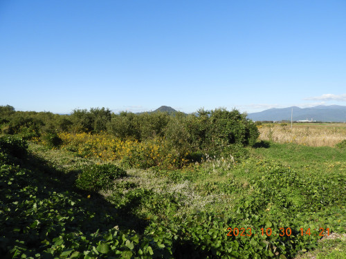 DSCN6268.JPG