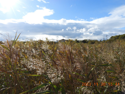 DSCN6887.JPG