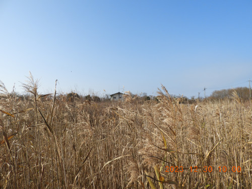 DSCN6903.JPG