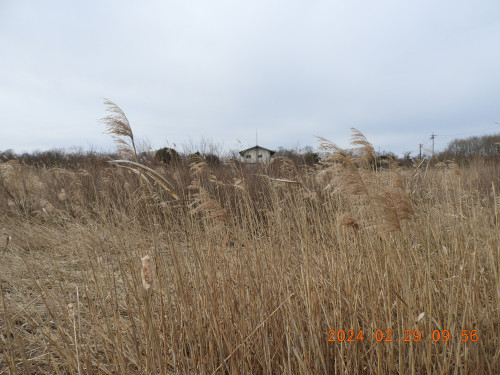DSCN9258.JPG