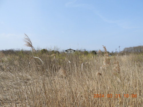 DSCN9279.JPG