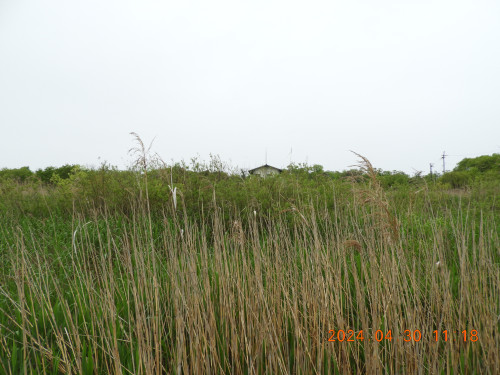 DSCN9811.JPG
