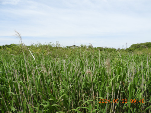 DSCN9818.JPG