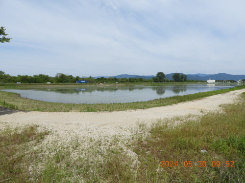 DSCN9820.JPG