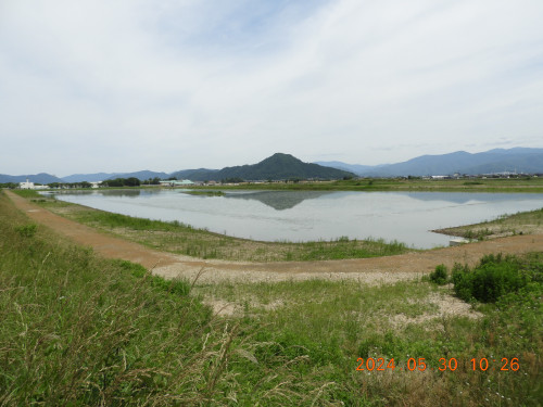 DSCN9825.JPG