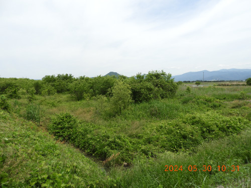 DSCN9826.JPG