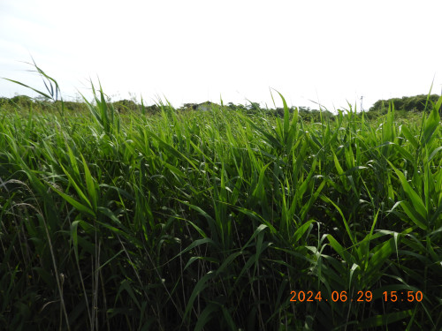 DSCN9833.JPG