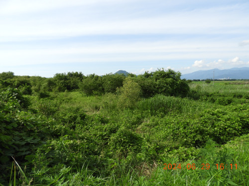 DSCN9843.JPG