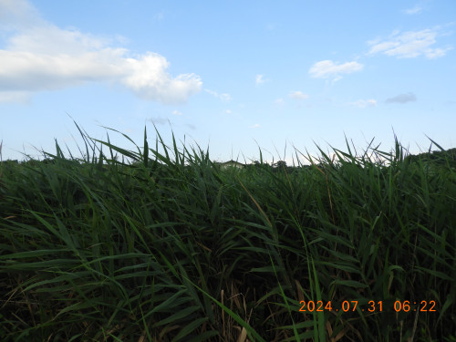 DSCN9860.JPG