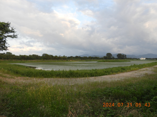 DSCN9850.JPG