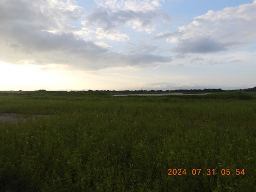 DSCN9852.JPG