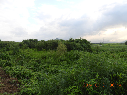DSCN9856.JPG