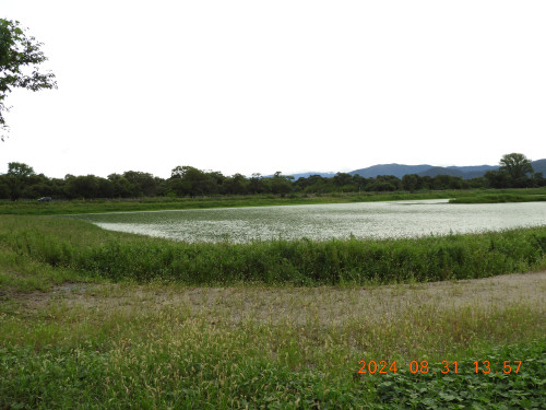 DSCN9888.JPG