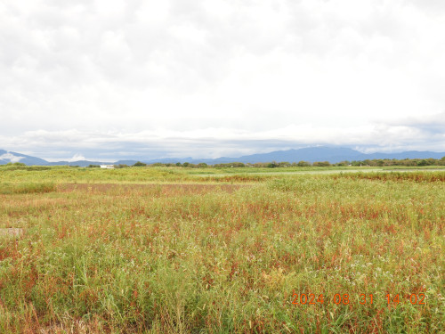 DSCN9897.JPG