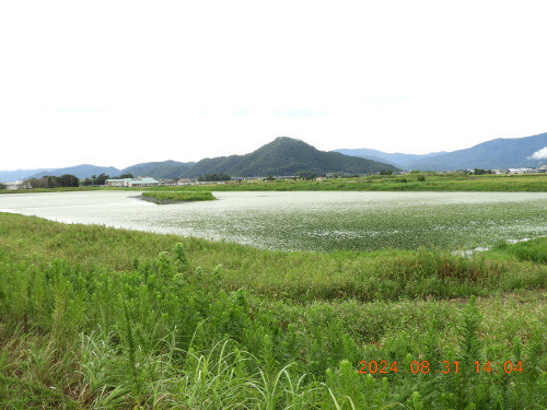 DSCN9898.JPG