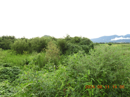 DSCN9899.JPG