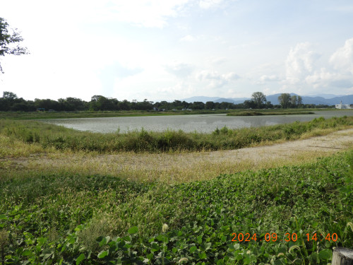 DSCN9914.JPG