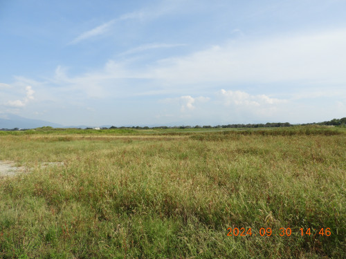 DSCN9916.JPG