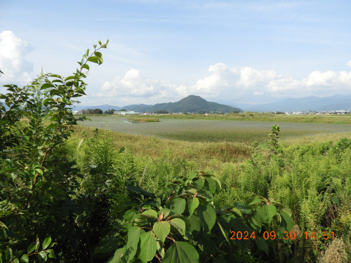 DSCN9917.JPG