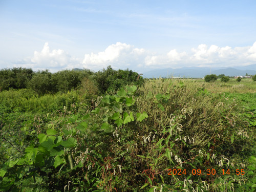 DSCN9918.JPG