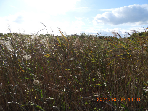 DSCN9927.JPG