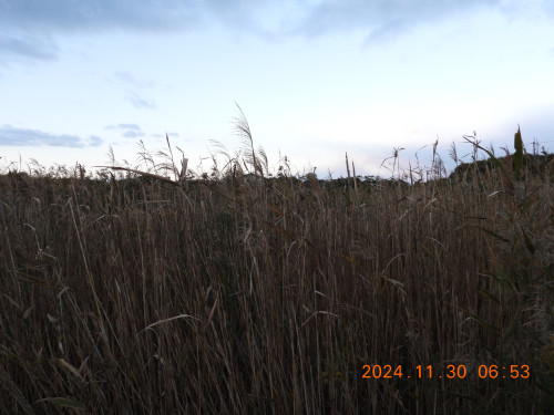 DSCN9928.JPG