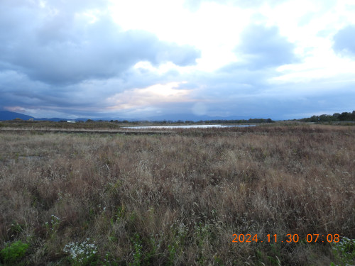 DSCN9934.JPG