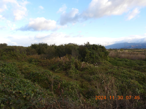 DSCN9941.JPG