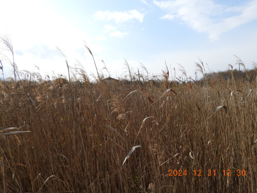 DSCN9950.JPG