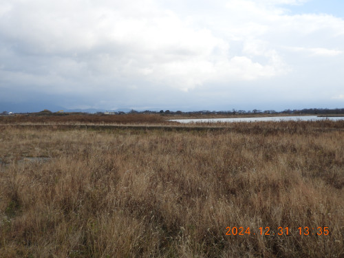 DSCN9952.JPG
