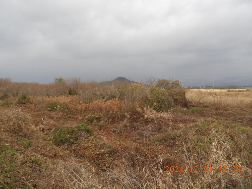 DSCN9954.JPG