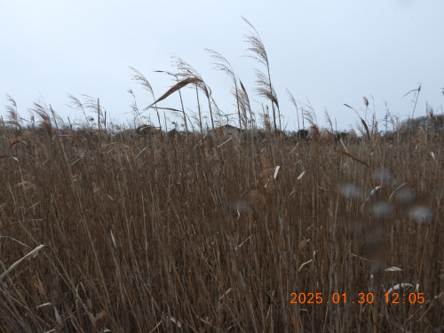 DSCN9960.JPG