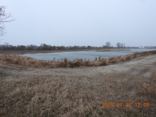 DSCN9962.JPG