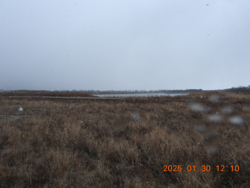 DSCN9963.JPG