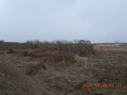 DSCN9964.JPG
