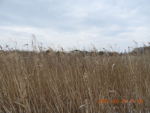 DSCN9972.JPG