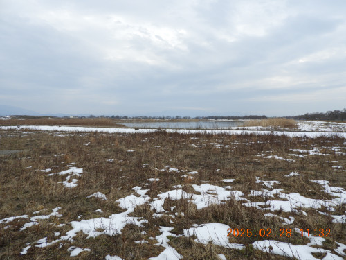 DSCN9976.JPG